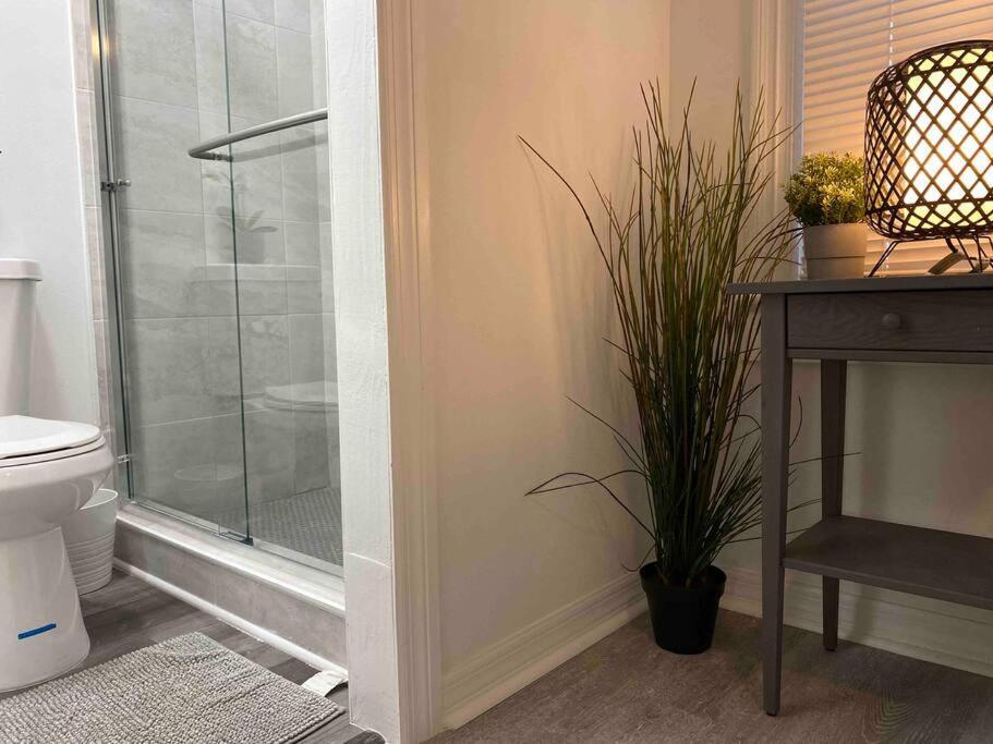 Chic Bungalow Apartment Steps From Armature Works & Downtown Riverwalk Tampa Eksteriør billede